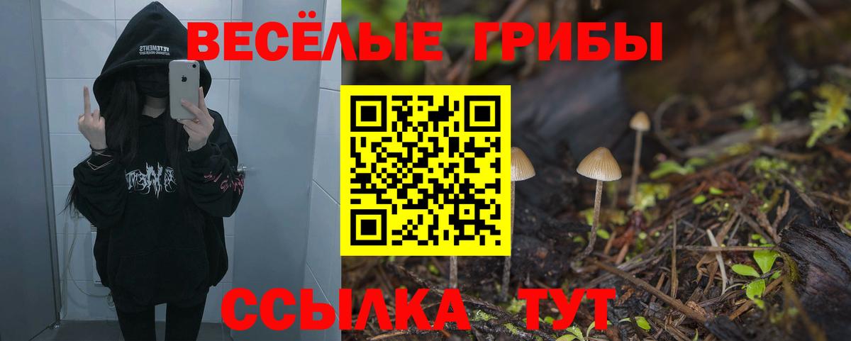 Псилоцибиновые грибы прущие грибы Городец
