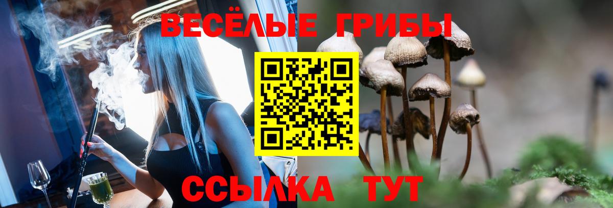Галлюциногенные грибы Cubensis  Вход с VPN  Городец 